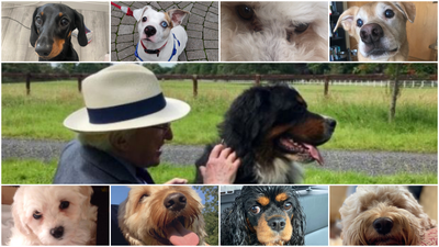 #NosesForSíoda shows the best the Irish people have to offer in the face of loss