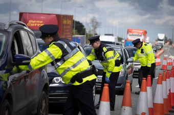 Professor suggests Garda checkpoints at Irish border to halt spread of Delta variant