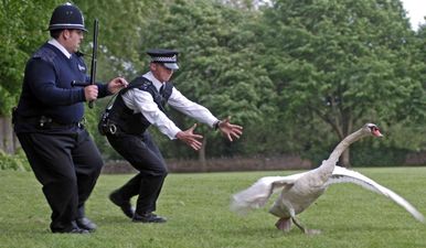 Here are the best movies on TV this evening