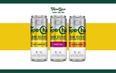 Coca-Cola to bring new Topo Chico Hard Seltzer to Ireland