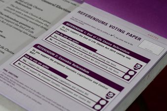 New Zealand votes to legalise euthanasia but not to legalise cannabis