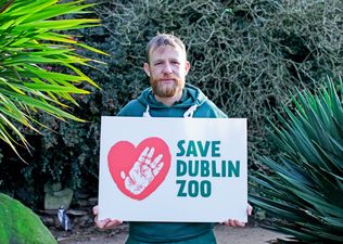 Taoiseach promises Dublin Zoo “will get the help it needs” amid fears it may have to close for good