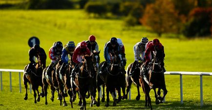 Racing club membership the ideal Christmas present for any dreamer