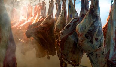 Report finds meat plant workers are subject to “difficult and dangerous” working conditions