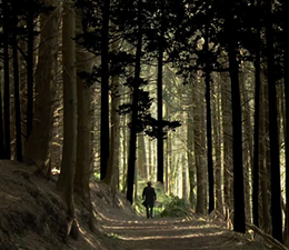 Worldwide rights bought for new Irish film being made about a childhood tainted by the residue of war