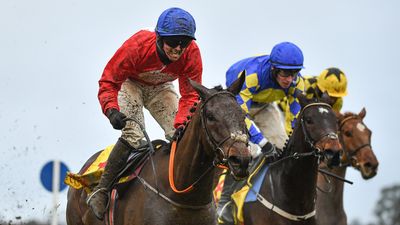All roads lead to Cheltenham after a busy Christmas period of shocks