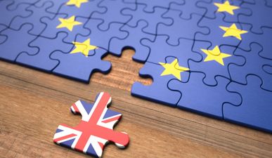 Leave.EU moves its registered domain address to Waterford so it can keep its website