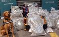 €1.2 million of cannabis infused ‘jelly sweets’ and herbal cannabis seized at Dublin Port