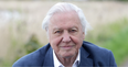 David Attenborough urges politicians to work together to end climate crisis