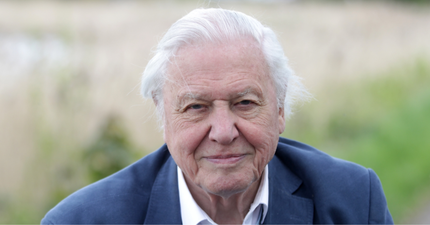 David Attenborough urges politicians to work together to end climate crisis