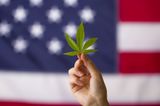 New York state agrees to legalise use of recreational marijuana