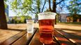 Publicans want beer gardens to open across Ireland from 24 May
