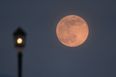 There’s a “Super Pink Moon” coming tonight, here’s what you need to know