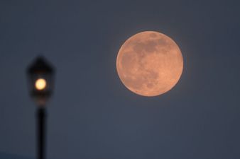 There’s a “Super Pink Moon” coming tonight, here’s what you need to know
