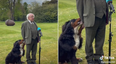 Michael D. Higgins’ dog goes viral after trying to get some attention during a TV interview