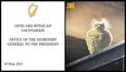 This bird looks a little bit like Michael D Higgins, and he agrees