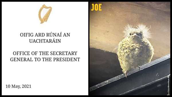 Michael D Higgins