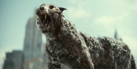 The cast of Army Of The Dead reveal their scariest zombie animals