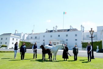 President Higgins welcomes two ponies to live at Áras an Uachtaráin