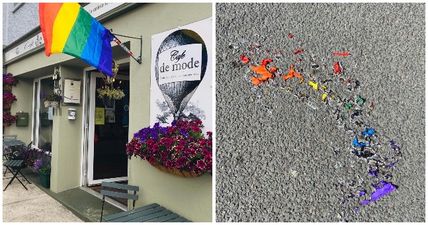 Pride flag cut down and set on fire in Carlow
