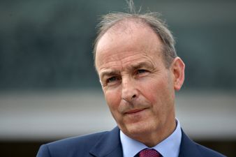 Fianna Fáil TD’s calls on Micheál Martin to resign as party leader following by-election