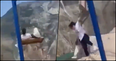 Two women escape with minor injuries after terrifying fall from swing on 6,300ft cliff edge in Russia