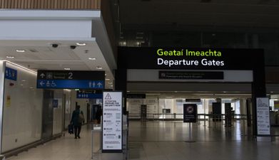 Minister says government is “working very hard” to get Covid Cert helpline back up and running