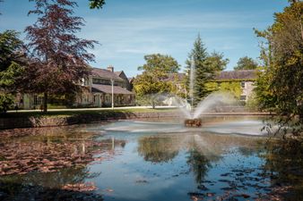 6 incredible outdoor experiences in Kildare you need to do this summer