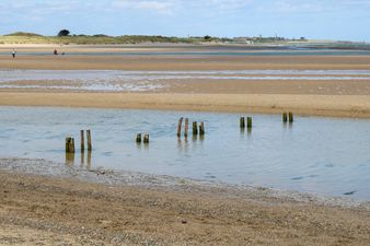 Do Not Swim Notice issued for Dublin beach over “unacceptable levels of bacteria”
