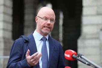 Stephen Donnelly says he is “fully committed” to introducing safe access zones around healthcare facilities