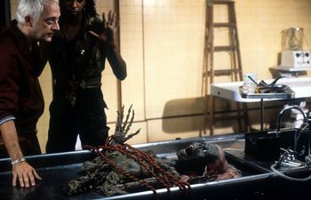 One of the best zombie films ever is among the movies on TV tonight