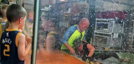 Terrifying video shows guest at reptile centre rescuing handler pulled in by alligator