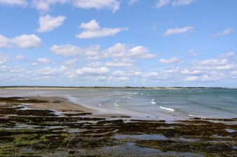 Temporary notices not to swim issued for two Dublin beaches due to E. coli bacteria