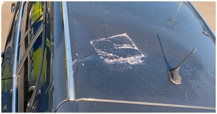 Breeze block thrown from high-rise flat onto police vehicle in Belfast