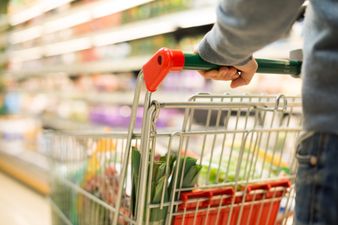 Calling all students! Here’s how you can get your weekly food shop for under €16 and win a €100 Lidl voucher