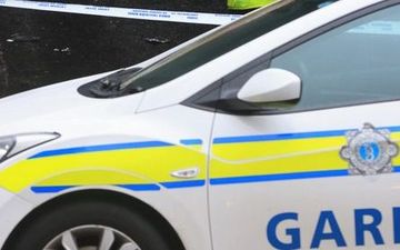 Man in possession of handgun arrested following incident in Carlow Town