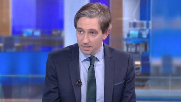 Simon Harris Simon Coveney Katherine Zappone row