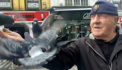 Famed ‘birdman’ of Cork told to fly away due to pigeon-related mayhem