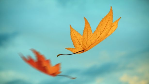 Weather forecast this week Ireland