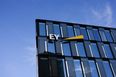 EY announces 816 new jobs across Ireland