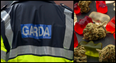 Gardaí warn students over cannabis edibles and nitrous oxide balloons as Freshers’ Week begins