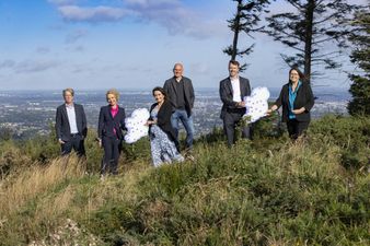 Four major employers join forces to create Ireland’s first remote working alliance