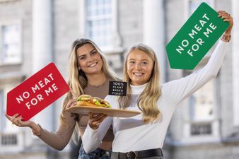 You can now get a fully plant-based chicken fillet roll at Spar