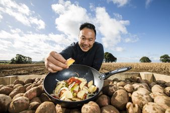 Potatoes can make nearly any meal better… here’s how