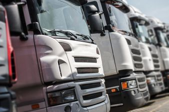 Supply chains could be “seriously disrupted” by lorry driver shortage similar to UK