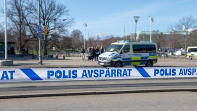 Controversial Muhammad cartoonist Lars Vilks killed in road crash