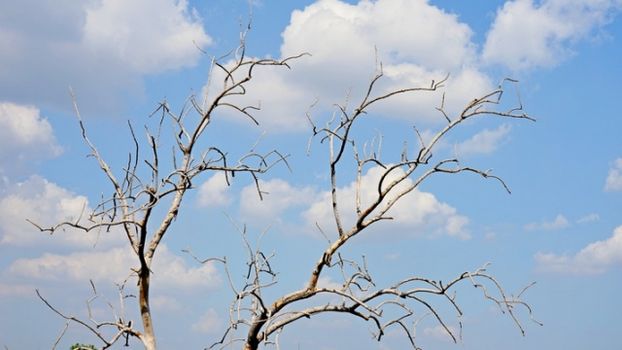 Weather forecast weekend October 2021