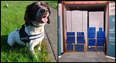 9.2 million illegal cigarettes seized at Dublin Port by detector dog