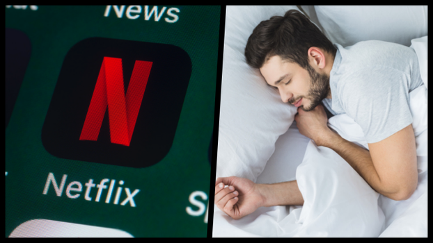 Netflix nap job
