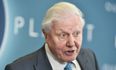 “Act now” – David Attenborough issues stark warning on climate emergency